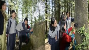 Shimla: एशिया के सबसे घने जंगल में 200 दुर्लभ मशरूम की खोज, शिमला के इस सरकारी स्कूल ने कर दिखाया कमाल