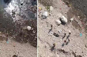 Kangra: कांगड़ा में बनेर खड्ड से मिला अज्ञात व्यक्ति का शव, रेलवे स्टेशन के पास सनसनी