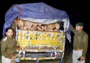 Una: ऊना में वन माफिया पर बड़ी कार्रवाई, 3 लाख की खैर की अवैध लकड़ी और पिकअप वाहन जब्त