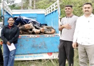Una: जंगल से निकल रही पिकअप ने खोला राज: खैर की लकड़ी की तस्करी का बड़ा खुलासा, वन विभाग-पुलिस की संयुक्त कार्रवाई