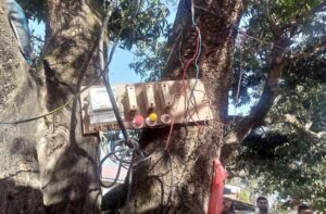 Kangra: पेड़ों में ठोकी कीलें, बिजली के मीटर लटकाए… बैसाखी मेले में विभाग की लापरवाही ने उठाए बड़े सवाल