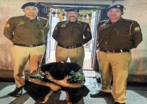 Shimla: शिमला पुलिस का बड़ा एक्शन! अंबाला से पकड़ा गया ड्रग नेटवर्क का मास्टरमाइंड, 10 लाख के लेन-देन का खुलासा