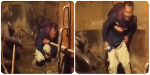 Himachal Shocked! हमीरपुर में भैंस के साथ शर्मनाक हरकत का वीडियो वायरल, गांव में मचा हड़कंप