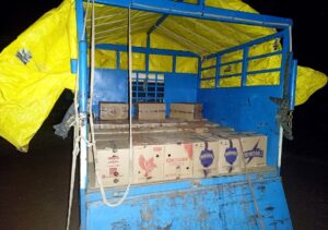Shimla: शिमला पुलिस की बड़ी कार्रवाई! बोलेरो कैंपर से पकड़ी गई शराब और बीयर की भारी खेप, आरोपी गिरफ्तार