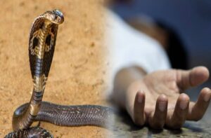 Kangra: कांगड़ा में दर्दनाक हादसा: रात को घर से बाहर गई 24 वर्षीय युवती, सांप के काटने से मौत