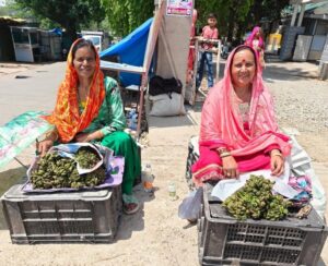 Kangra: धौलाधार की वादियों से निकलकर देशभर में छाया ‘लुंगडु’, स्वाद के साथ सेहत का भी सुपरफूड