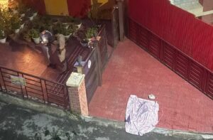 शिमला में सनसनी: स्कूल संचालिका की गेट पर गोलियां मारकर हत्या, पंजाब नंबर की गाड़ी में आए हमलावर फरार
