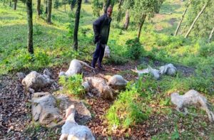 Mandi: आसमानी बिजली ने उजाड़ी भेड़पालक की दुनिया, एक झटके में 20 बकरियां मौत का शिकार