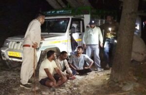Mandi: रात 2 बजे जंगल में चल रहा था खेल! वन विभाग ने दबोची देवदार तस्करी, 3 गिरफ्तार, 2 फरार