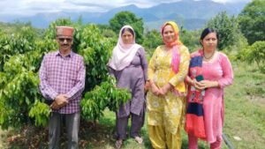 Kangra: हिमाचल की महिलाओं ने कर दिखाया कमाल! ब्राह्मी की खेती से कमा रहीं लाखों, सूखी फसल का मिल रहा 1 लाख रुपये प्रति क्विंटल तक भाव