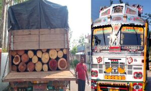 Una: अम्ब में वन विभाग की बड़ी कार्रवाई, 10 लाख की संदिग्ध प्रतिबंधित लकड़ी से लदे दो ट्रक पकड़े