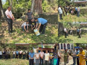Kangra: विश्व पर्यावरण दिवस पर शाहपुर में भाजपा का पौधारोपण अभियान, प्रकृति संरक्षण का दिया संदेश