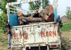 Kangra: ग्रामीणों ने नाकाम कर दी वन माफिया की बड़ी साजिश! बिना नंबर की गाड़ी में पकड़ी गई खैर की लकड़ी, तीसरी बरामदगी से मचा हड़कंप