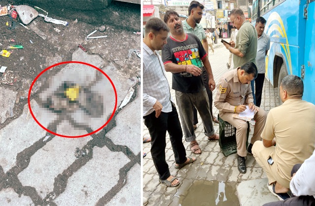 Sirmaur: पांवटा बस स्टैंड पर मिला गौवंश का अवशेष, मचा हड़कंप! CCTV में दिखी ऐसी तस्वीर जिसने बदल दी जांच की दिशा