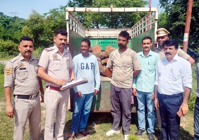 Kangra: इंदौरा में वन विभाग का बड़ा एक्शन: 28 खैर के मौछों से लदी पिकअप पकड़ी, दो तस्कर दबोचे