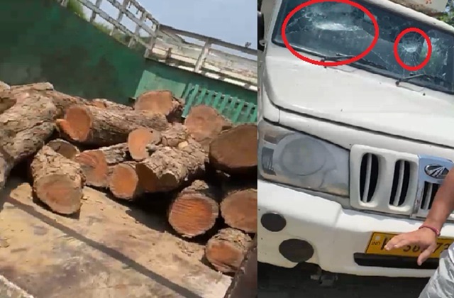 Kangra: खैर तस्करों पर ग्रामीणों का बड़ा एक्शन! पिकअप घेरकर पकड़ी, शीशे तोड़े, वन विभाग के हवाले की लकड़ी