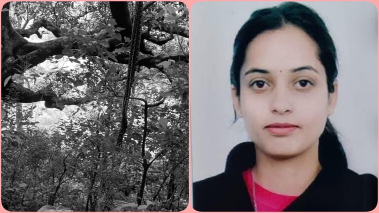 Himachal: 5 दिन से लापता 26 वर्षीय वैशाली का जंगल में पेड़ से लटका मिला शव, पूरे इलाके में सनसनी