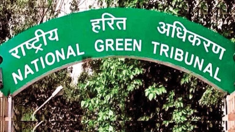 200 साल पुराने बरगद के पेड़ पर NGT सख्त, चबूतरा बनाने की अनुमति पर हिमाचल सरकार से मांगा जवाब