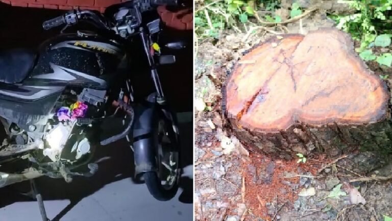 माजरा में वन कर्मियों को कुचलने दौड़ी पिकअप, बाल-बाल बची जान; पीछे छूटी लाखों की खैर लकड़ी, बाइक जब्त