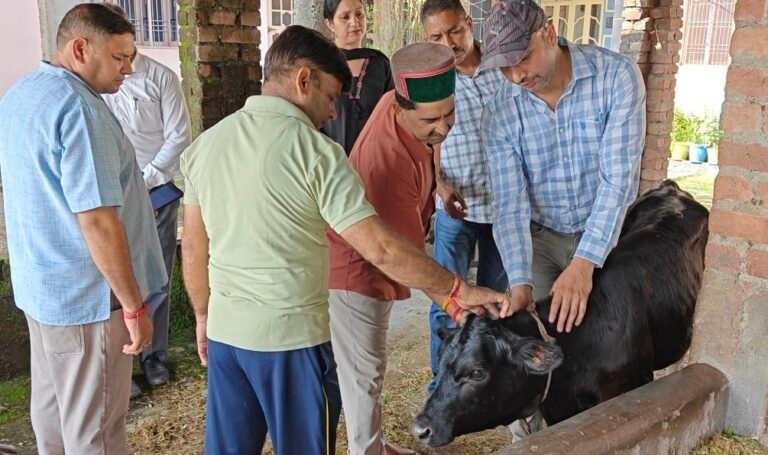 Kangra: लम्पी के लक्षण की खबर मिलते ही पशुपालक के घर पहुंचे विधायक केवल सिंह पठानिया, 8,175 पशुओं का हो चुका टीकाकरण