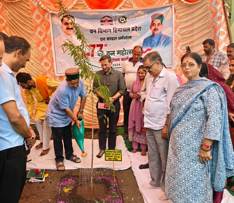 शाहपुर में 100 हेक्टेयर भूमि पर होगा पौधारोपण, विधायक केवल सिंह पठानिया ने दिए कई बड़े निर्देश; लो-वोल्टेज से लेकर सड़क और स्कूल तक पर फैसले