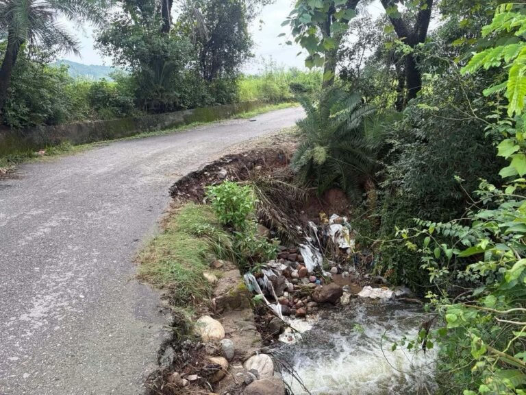 Kangra: हरनेरा-बड़ंज तत्वानी सड़क की हालत चिंताजनक, खतरे में आवाजाही; जल्द मरम्मत की मांग